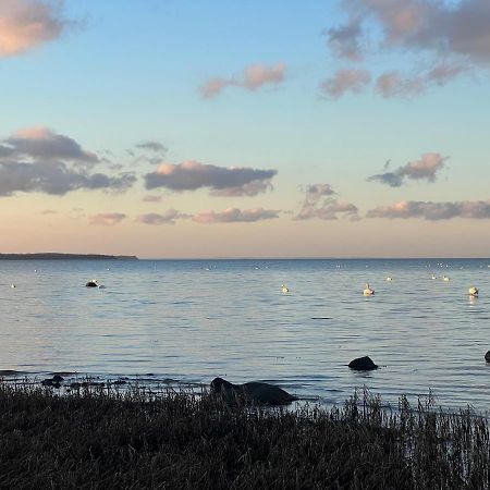 Reet Und Meer Beckerwitz Hohenkirchen  Eksteriør bilde