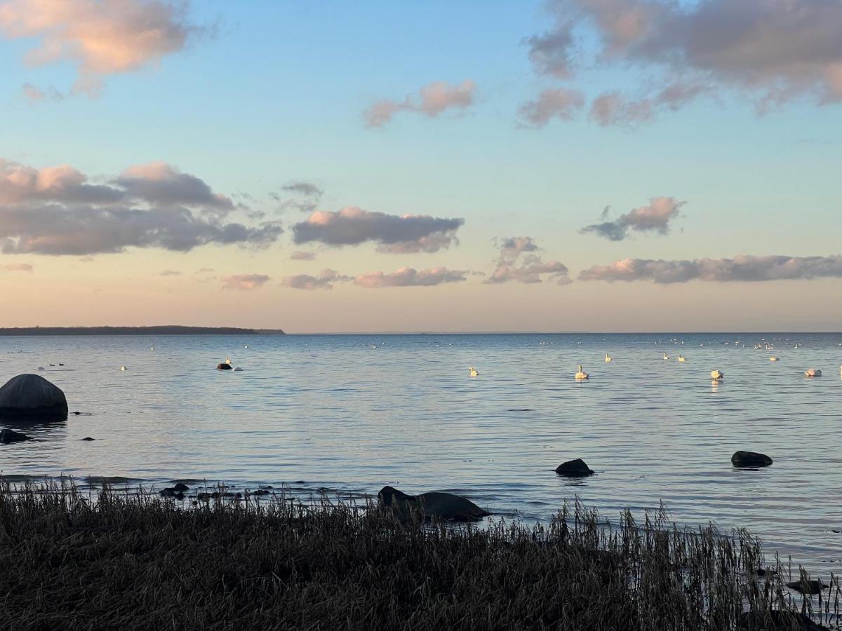 Reet Und Meer Beckerwitz Hohenkirchen  Eksteriør bilde
