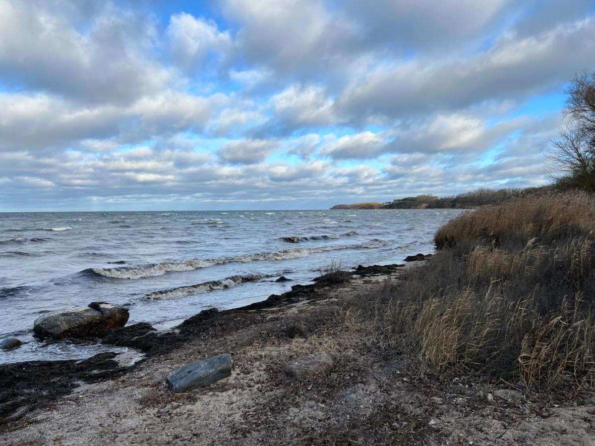 Reet Und Meer Beckerwitz Hohenkirchen  Eksteriør bilde