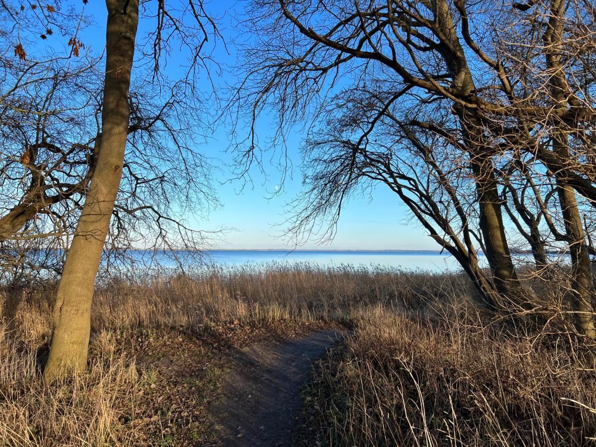 Reet Und Meer Beckerwitz Hohenkirchen  Eksteriør bilde